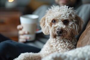 ai generato uomo seduta Tenere caffè tazza con cane foto