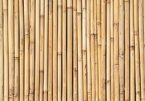 recinto fatto di bambù bastoni foto