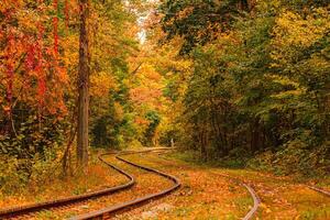 autunno foresta attraverso quale un vecchio tram cavalcate Ucraina foto