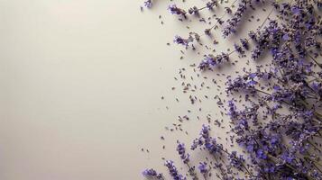 ai generato mazzo di viola fiori su bianca parete foto