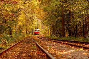 autunno foresta attraverso quale un vecchio tram cavalcate Ucraina foto