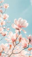 ai generato delicato rosa magnolia fiori contro un' sereno cielo durante primavera foto