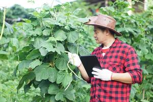 bello asiatico uomo giardiniere detiene inteligente tavoletta per ispezionare crescita e impianti malattie nel giardino. concetto, inteligente contadino ricerca informazioni per sviluppare agricoltura raccolti. dai un'occhiata e ricerca a partire dal Internet. foto