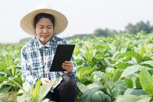 asiatico donna giardiniere è a giardino, indossa cappello, plaid camicia, detiene inteligente tavoletta per ispezionare crescita e malattie di impianti. concetto, agricoltura ispezione, studia sondaggio e ricerca per sviluppare raccolti. foto