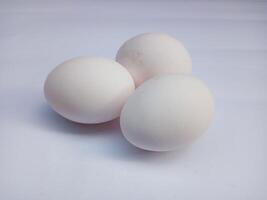 uova isolato su bianca sfondo. foto