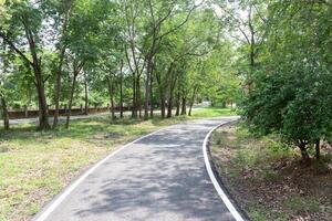 avvolgimento strada nel il parco con alberi e verde erba su tutti e due lati foto