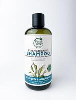 Giacarta, Indonesia - febbraio 25, 2024 - petalo fresco puro rafforzamento shampoo bottiglia confezione. alga marina e argan olio variante. capelli cura oggetto fotografia isolato su bianca pianura sfondo. foto