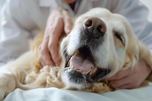 ai generato guarigione tonalità gioioso veterinario clinica foto