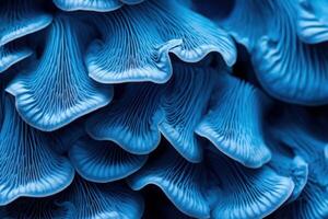 ai generato dai colori vivaci blu fungo avvicinamento sfondo. creare ai foto