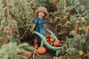 ragazza raccolta Ritaglia di verdure e frutta e mette esso nel giardino carriola. autunno concetto foto