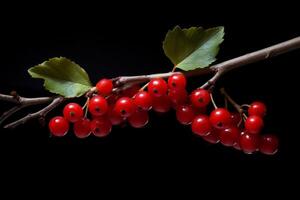 ai generato di stagione rosso frutti di bosco ramo autunno. creare ai foto