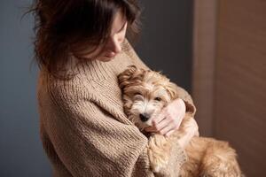 ragazza baci sua cane, assunzione cura di animali domestici foto