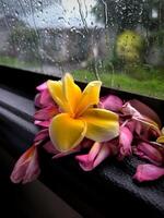 bellissimo ispirazione malinconico Immagine. piovoso tempo atmosferico, gocce di pioggia struttura su bagnato bicchiere finestre, fiori, simbolo di amore, romantico foto