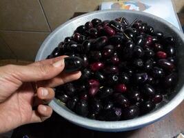 jamblang o piumino o juwet o Giava prugna o giam o Jamun o nero marmellata o gigante duhat su verde ciotola nel isolato sfondo nel bianca. mandarino e dolce gusto. foto