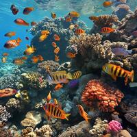 ai generato rosso mare corallo scogliera e pesce foto