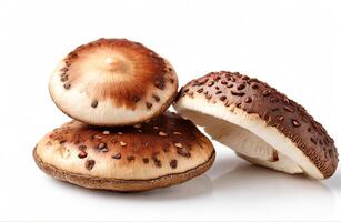 ai generato shiitake fungo su bianca sfondo foto