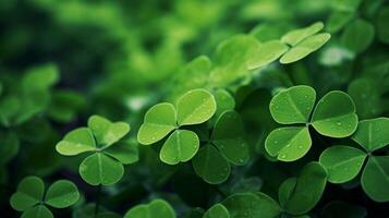 ai generato fortunato trifoglio le foglie per st. Patrick giorno. bandiera con irlandesi trifoglio le foglie foto