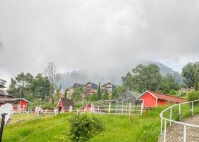 paesaggio giardino e montagna bandungan semarang centrale Giava. il foto è adatto per uso per avventura soddisfare media, natura manifesto e foresta sfondo.