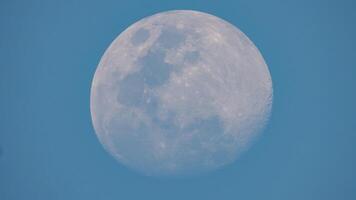 bellissimo Luna nel il cielo foto