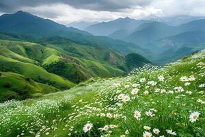 ai generato il sereno bellezza di verde colline nel Highlands decorato con bianca margherite foto