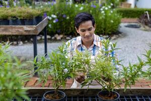 asiatico giardiniere è deadheading il suo fiore pianta a asilo giardino centro per nativo e esotico pianta coltivatore foto