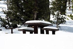 picnic tavolo e panchine coperto nel neve foto