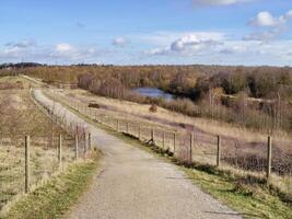 fairburn ing natura Riserva e il fiume aria, ovest yorkshire, Inghilterra foto