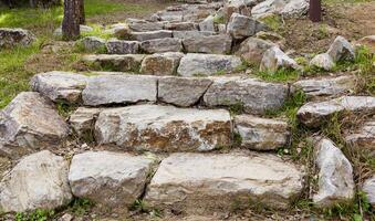 all'aperto pietra passaggi con verde erba pino aghi foto