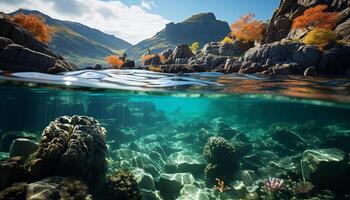 ai generato subacqueo pesce nuotare nel tranquillo blu paesaggio marino, esplorando naturale bellezza generato di ai foto