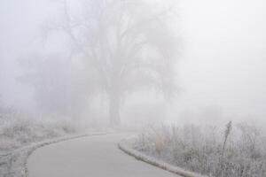 settentrionale Colorado bicicletta pista nel nebbia - novembre mattina su il poudre fiume pista vicino windsor foto