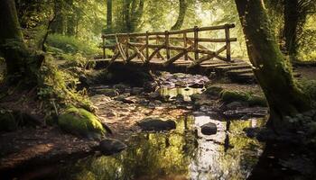 ai generato tranquillo scena verde foresta, fluente acqua, riflessione, vecchio pietra ponte generato di ai foto