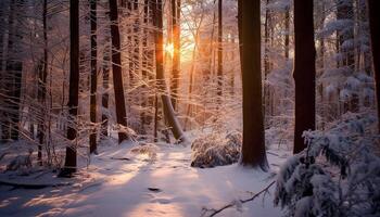 ai generato tranquillo inverno foresta, neve coperto alberi, luce del sole attraverso ghiacciato rami generato di ai foto