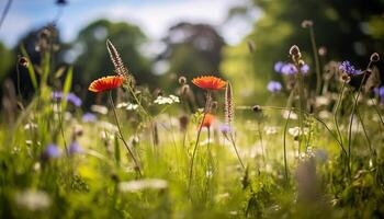 ai generato freschezza di estate prato vivace fiori fiorire nel natura generato di ai foto