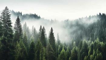 ai generato maestoso montagna picco, verde alberi, tranquillo prato, nebbioso natura selvaggia generato di ai foto