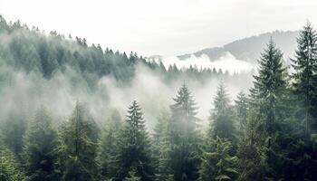 ai generato tranquillo scena nebbioso montagna picco, verde prato, sereno abete albero generato di ai foto
