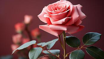 ai generato freschezza e bellezza nel natura, un' vivace rosa fiore fiorire generato di ai foto