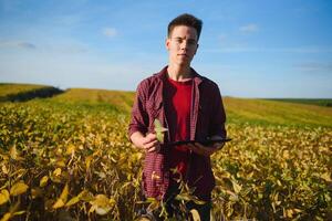 agronomo ispezionando soia fagiolo colture in crescita nel il azienda agricola campo. agricoltura produzione concetto. giovane agronomo esamina soia Ritaglia su campo nel estate. contadino su soia campo foto