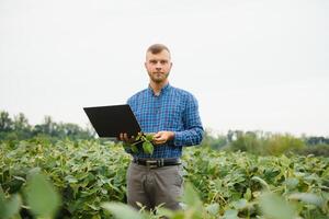 agronomo ispezionando soia fagiolo colture in crescita nel il azienda agricola campo. agricoltura produzione concetto. giovane agronomo esamina soia Ritaglia su campo nel estate. contadino su soia campo foto