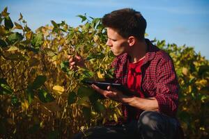 giovane agricoltore nei campi di soia foto