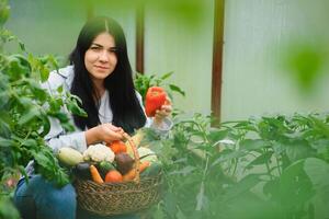 giovane donna nel prende cura di fresco verdura biologico nel legna stile cestino preparare servendo raccogliere di un' carino bella ragazza nel idroponica azienda agricola, serra foto