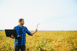 agronomo ispezionando soia fagiolo colture in crescita nel il azienda agricola campo. agricoltura produzione concetto. giovane agronomo esamina soia Ritaglia su campo nel estate. contadino su soia campo foto