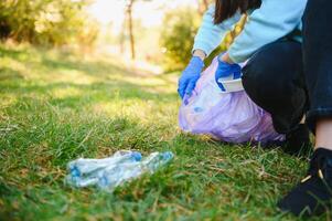 Da donna mani nel rosso gomma da cancellare guanti. donna raccoglie spazzatura nel il Borsa. volontario scavenge spazzatura nel il estate parco. simpatico progressivo donna fabbricazione un sforzo per Aiuto il ambiente foto