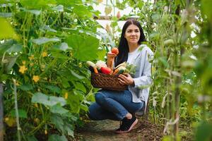 giovane sorridente agricoltura donna lavoratore nel serra. giovane donna Lavorando nel sua serra. piccolo attività commerciale. contadino nel un' serra. amichevole donna nel serra giardino foto