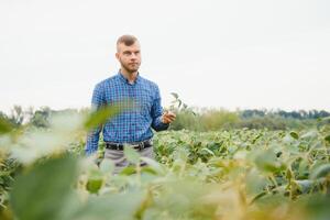 giovane agricoltore nei campi di soia foto