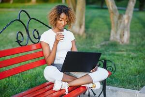 ritratto di africano americano donna con afro acconciatura seduta su il di legno panchina all'aperto e Lavorando su il computer portatile foto