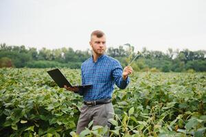 agronomo ispezionando soia fagiolo colture in crescita nel il azienda agricola campo. agricoltura produzione concetto. giovane agronomo esamina soia Ritaglia su campo nel estate. contadino su soia campo foto