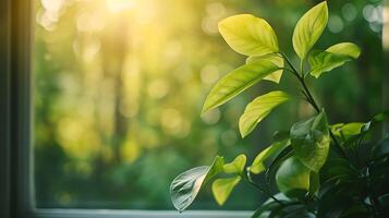 ai generato intricato dettaglio di verde frondoso pianta su illuminata dal sole davanzale catturato con macro lente foto