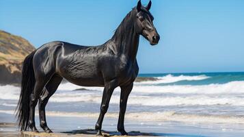 ai generato nero cavallo su il sabbia spiaggia su mare sfondo foto