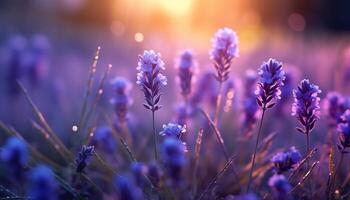 ai generato viola fiore fiorire nel prato, natura bellezza generato di ai foto