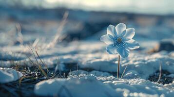 ai generato affascinare il tuo sensi con un' inverno Paese delle meraviglie, dove congelato fiori luccicare nel delicato splendore, ai generato. foto